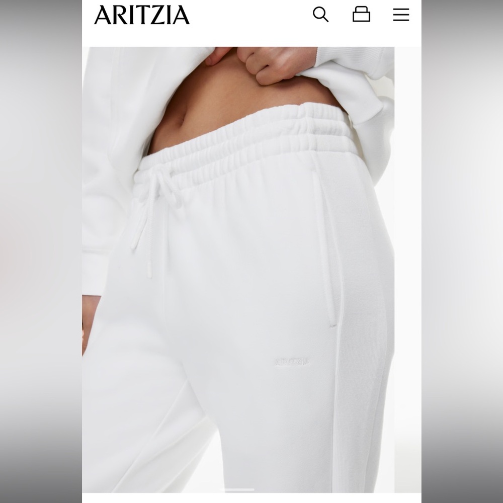 Aritzia TNA boyfriend fleece joggers